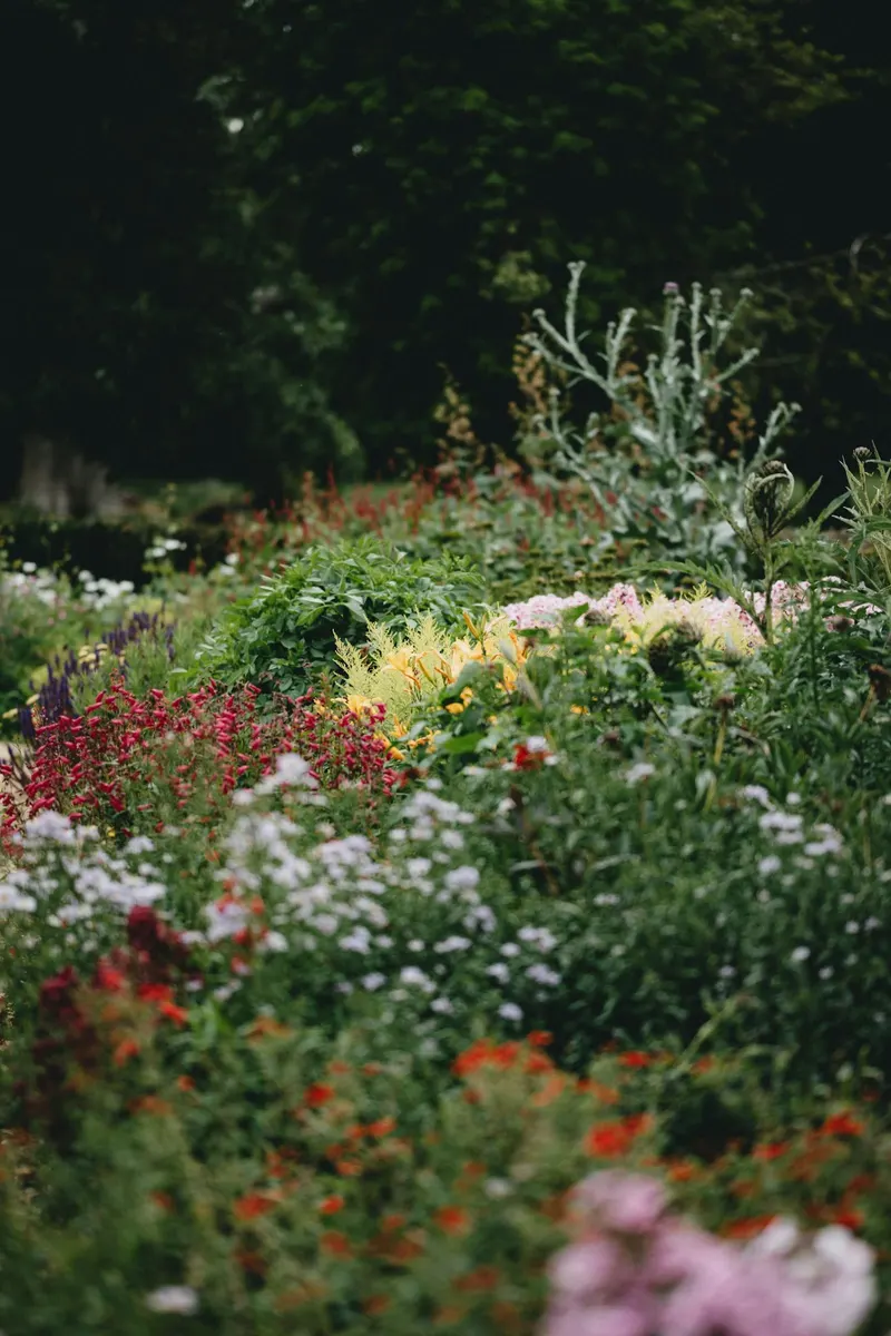Foundation beds with clipped boxwood, flowering perennials, fresh dark mulch, and a sharply cut edge against the lawn